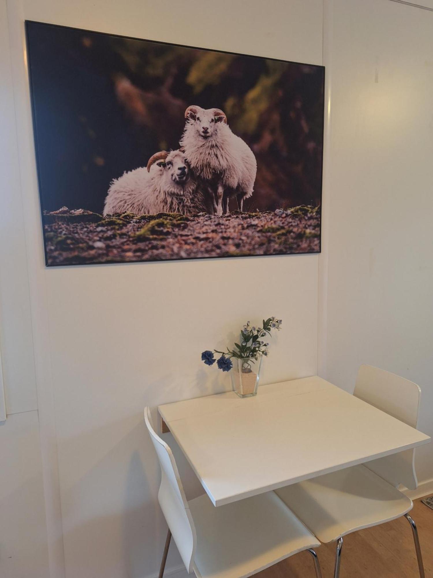 Sólvellir Holiday Home Kjosahreppur Eksteriør bilde